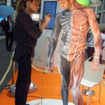 Anatomie Bodypainting 2013_1