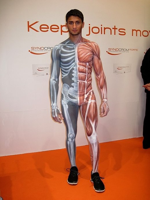Messe Bodypainting Anatomie